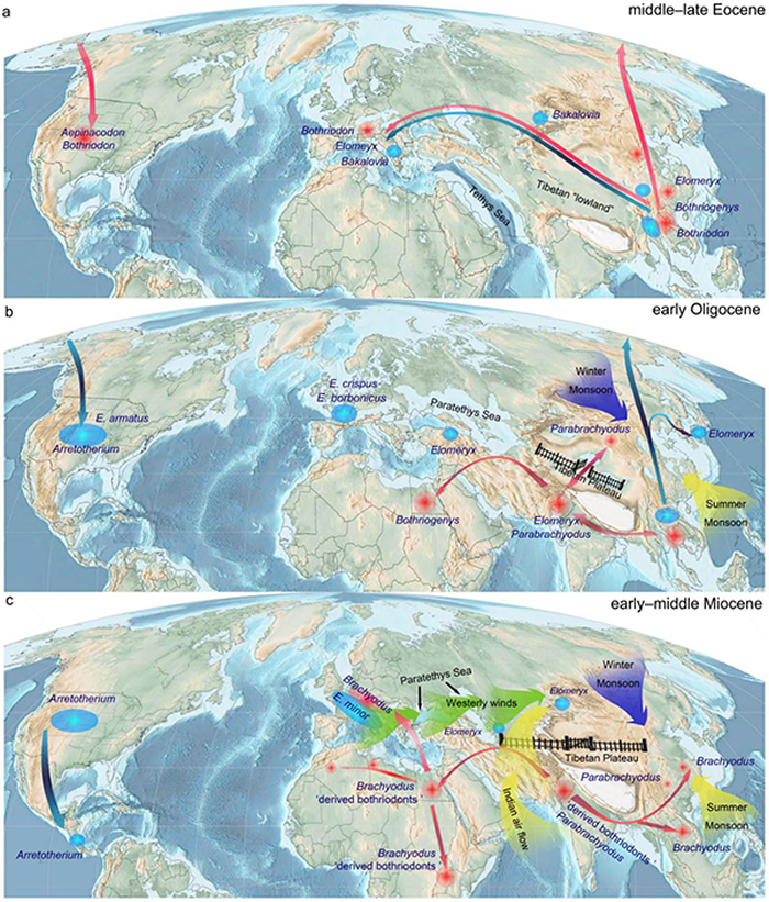 ����������ȫ����ݻ���ɢ������ŵ������������Լ�����ȿ������ء������빩ͼ