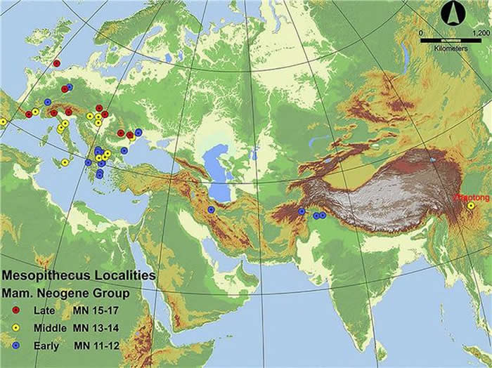 ͨˮӷֵĻʯ걾ʾ޽˿ȿ640ǰͨк