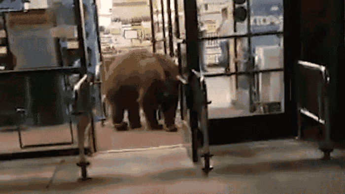 ��������̫�ƺ��������չ䳬�� ������Ƭ�Ÿ������׼������