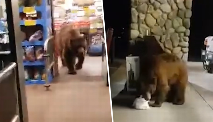 ��������̫�ƺ��������չ䳬�� ������Ƭ�Ÿ������׼������