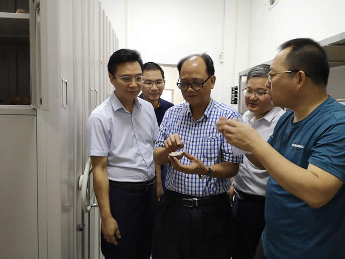 中国科学院古脊椎动物与古人类研究所副研究员王强(右一),中国恐龙协会理事、河源市博物馆首任馆长黄东(中)等在茂名市博物馆对出土恐龙蛋化石进行研究。