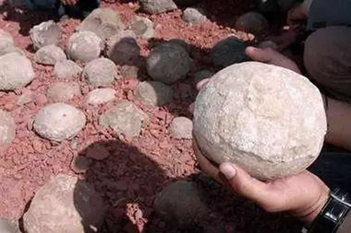 茂名恐龙蛋化石