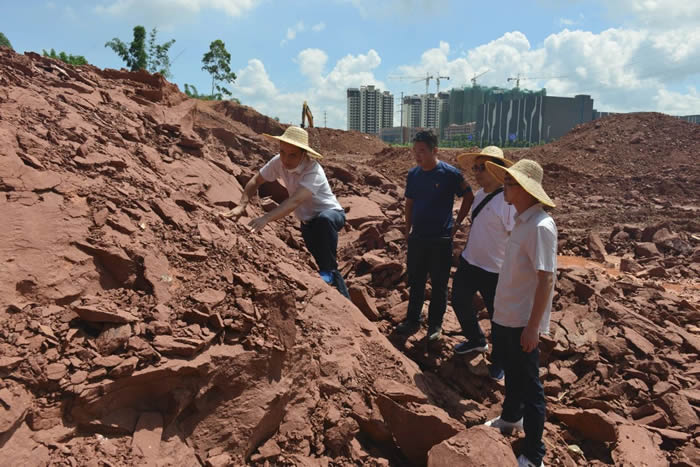 2020年6月,河源联新村发现恐龙蛋化石现场。