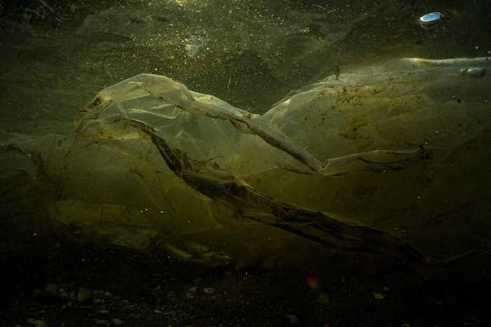 菲律宾自由岛(Freedom Island)生态旅游地区出现的塑胶垃圾。 PHOTOGRAPH BY RANDY OLSON,NAT GEO IMAGE COL