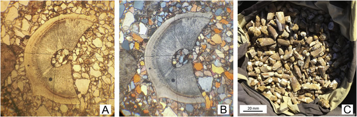 ĦɳĮӴֵĴݻʯһ֤ʵһˮ