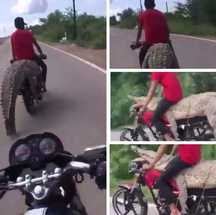 ī����������ˮ�Ӳ�������� ֱ�ӷ���Ħ�г�������