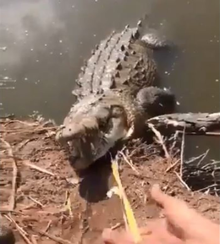 ī����������ˮ�Ӳ�������� ֱ�ӷ���Ħ�г�������