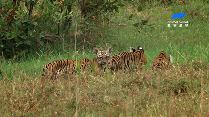 ӡ������Ͱ������ϻ��������ϻ�4��ú�����������