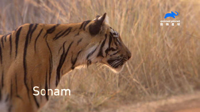 ������׳˶������ķ������Ϊ�µĴ���֮��