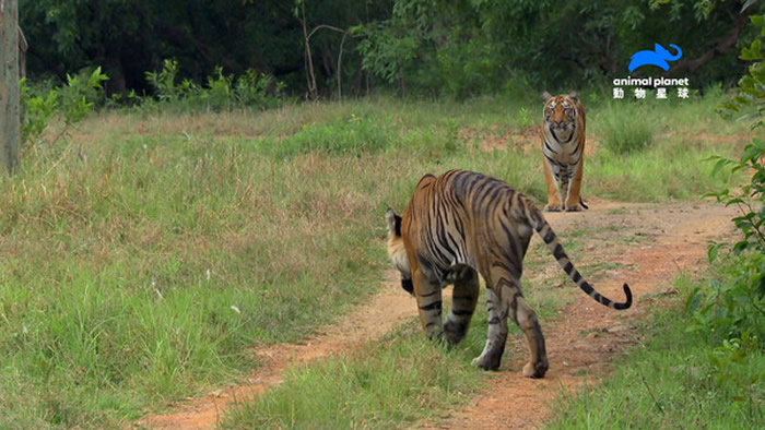 ��������ʱ�������˵Ĺ�������