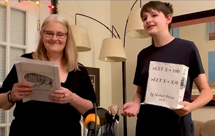 ������չʾֽ�ƽ�����