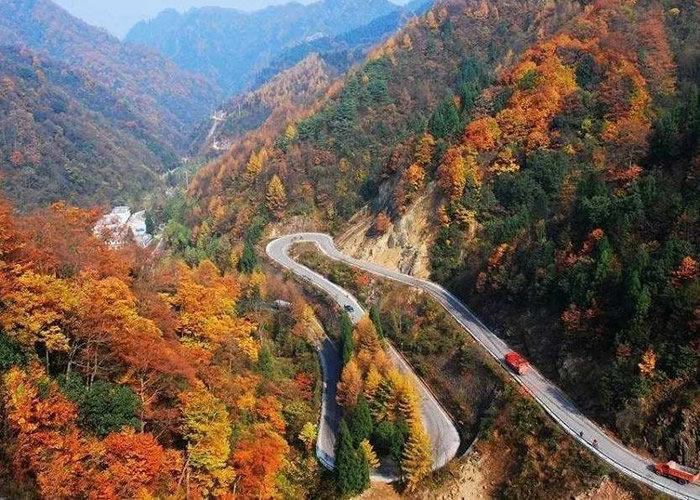 ȫ���״Σ��Ĵ���ɽ�����ô�綥������Ȼ����������Ұ���׻�С��è