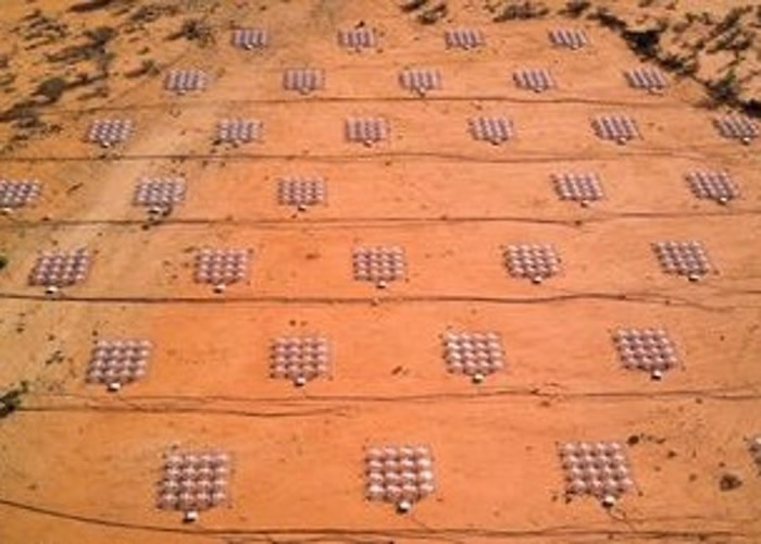 默奇森广角阵列望远镜(MWA)。