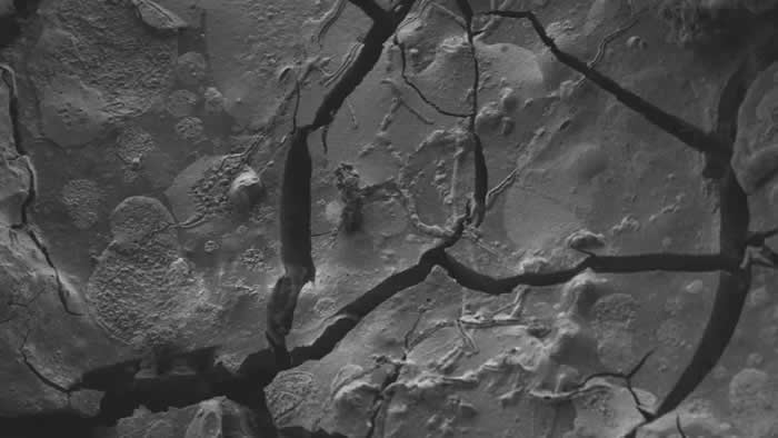 �������ѧ�ҷ��ֹ�Ԫ79��ά������ɽ�緢ʱ�����ߵĴ�����Ԫ