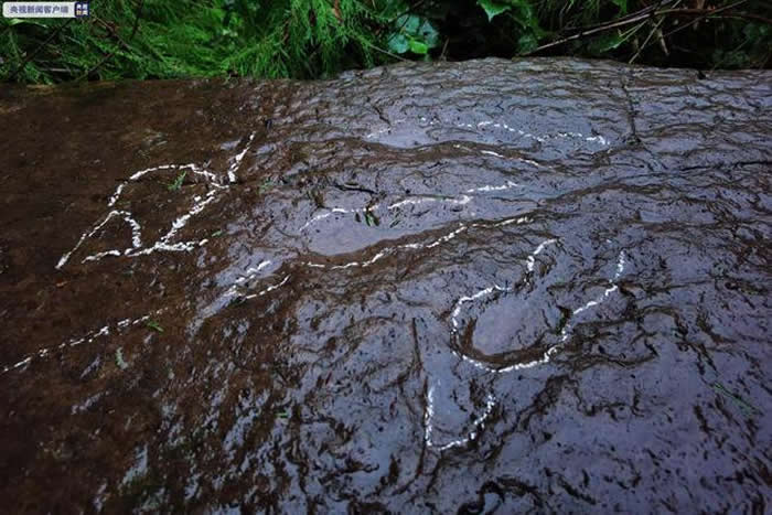 成都5岁小朋友发现恐龙足迹化石 是四川盆地北部边缘的首次发现