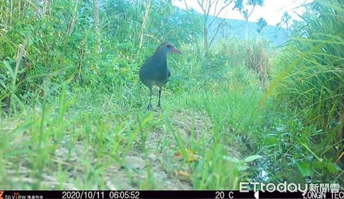 ̨����ũ��������̬��Ӱ����׽��������̨���������֡��������������������