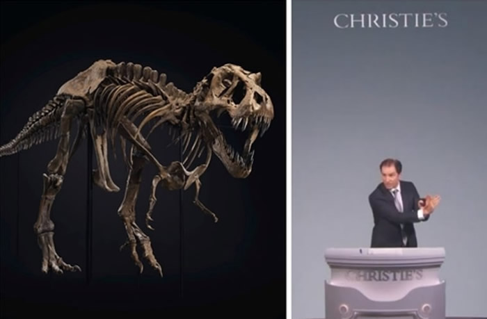 美国纽约佳士得拍卖行拍卖霸王龙化石STAN 破纪录3180万美元成交