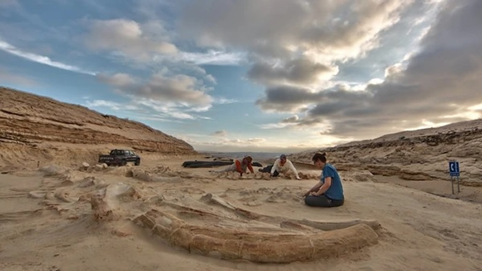 古生物学家在Convey Services线上虚拟会议期间遭遇大量术语被系统过滤的尴尬