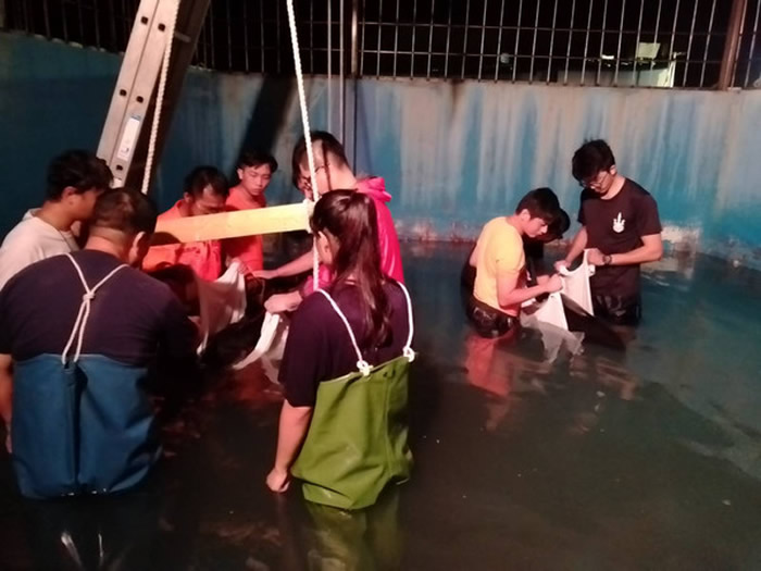 ̨���±����ֿ��¸�ɳ̲2ֻ��ͷ����ǳ