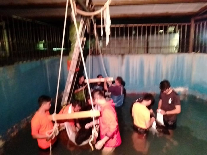 ̨���±����ֿ��¸�ɳ̲2ֻ��ͷ����ǳ