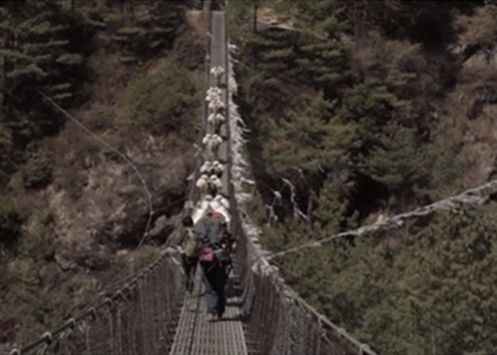 美国青年Nathaniel J. Menninger自荐成为雪巴人脚夫 拍微电影赞颂登珠峰的无名英雄