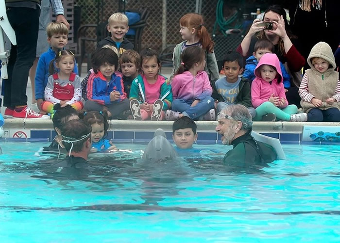 美国加州Edge Innovations公司设计的机器海豚有望取代人工饲养的海豚娱乐观众