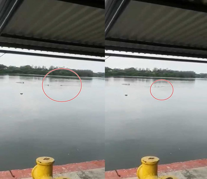 ī������ë����˹�����ں�����Ӿ ��3�׳���������ˮ��