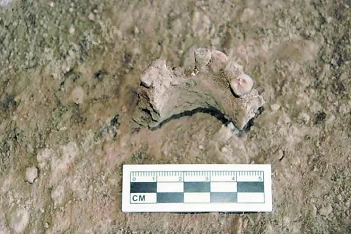 贵州省惠水县清水苑大洞遗址古基因组研究:中国南方的古人类1.1万年前或已南下