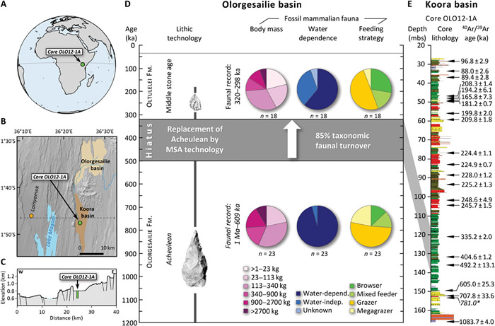 气候、地貌和动物种群的快速变化彻底改变古人类的工具制造