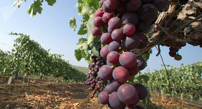 ˹ӪѧоԤ¹ڷ׺Ͱ¹ڻ߿ˮͽ