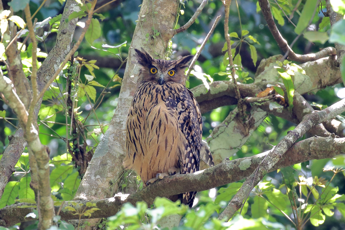 �����^����Ӱ�������£�