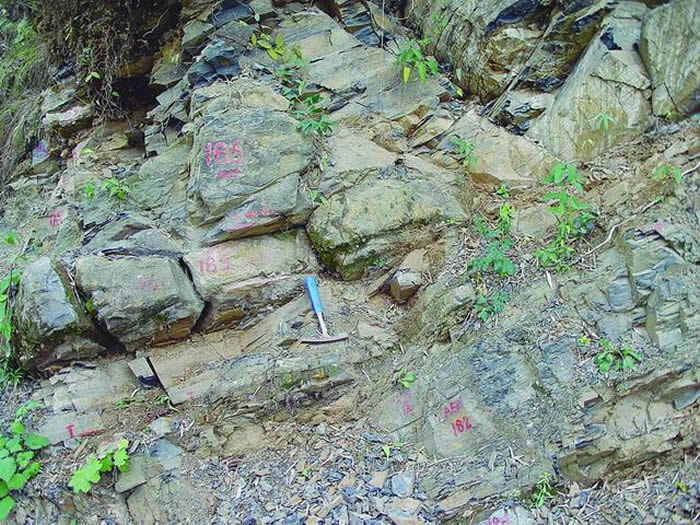 ��һö���Ӳ�λ