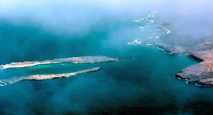 ����������˹Ⱥ�����ļӵ��������������������2020��ﵽ����