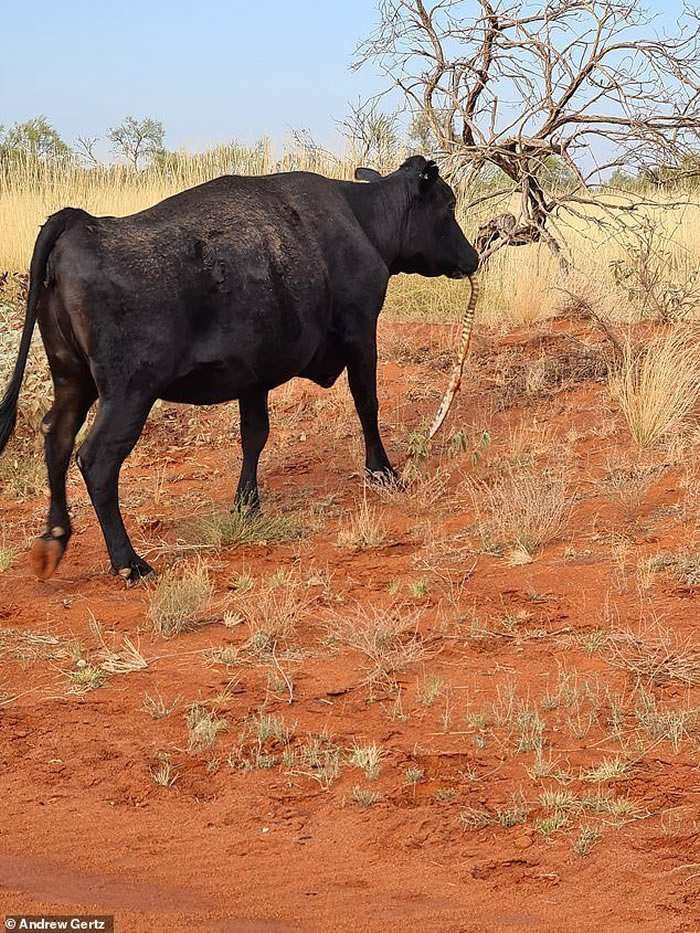 Ŀúţһɳ ҧͷ˱ķʽ׽