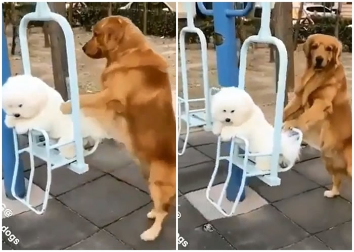 ��ëѰ��Ȯģ�������Ʊ���Ȯ���� �ɰ�ģ���ڻ�������