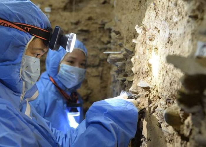 ר���ڶ�Ѩ�ڲɼ�������