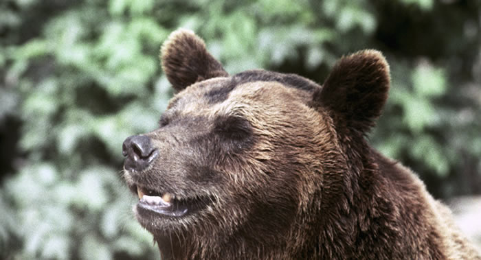 ձشнλ⵽һֻҰܹ