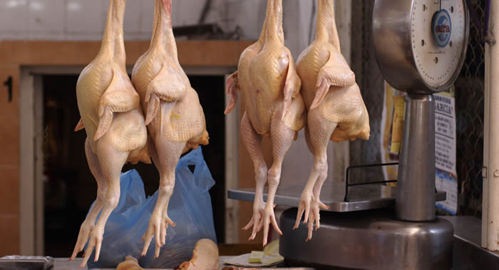 ڿһλŮʿһֻݳƻںڰзġӫ⡱