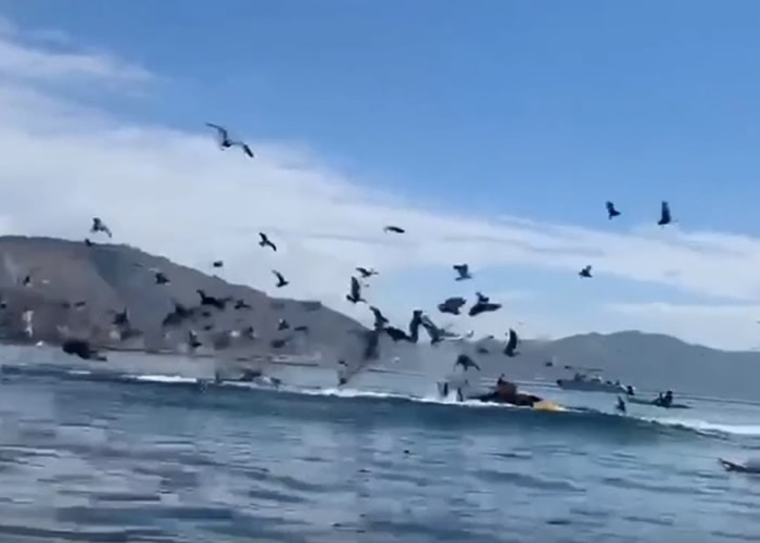 ��������Ů�ӵ����ݻ���ľ�������;� ��ͷ��ͻȻ����ˮ�潫�����������������