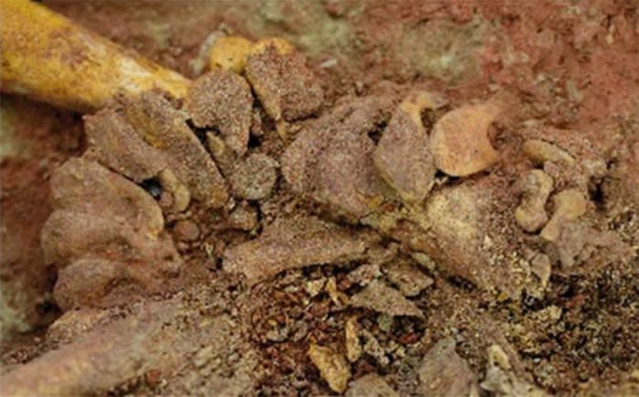 《自然》杂志官网:奥地利发现一对生活在大约3万年前的人类双胞胎婴儿遗骸