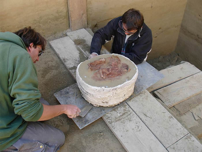 《自然》杂志官网:奥地利发现一对生活在大约3万年前的人类双胞胎婴儿遗骸