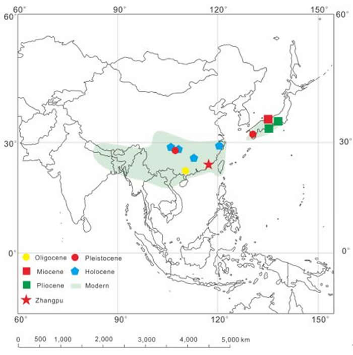 南酸枣属植物现生及化石记录的分布