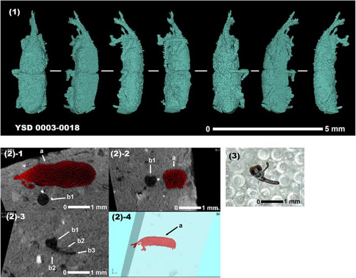 �ܱ���ѧ��С�x�뼺����ʹ��X���ߴ�3600��ǰ����ʱ�����������з���28���׳�ѹ��