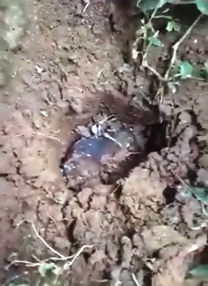 �콵���140��Ӣ����ӡ���ƹ�ʦ�ڼ��й���ʱ45������ʷ��ʯ������������ݶ�