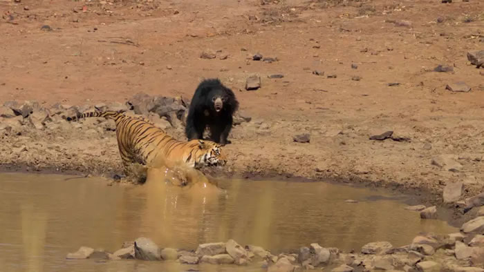 ӡ��������ϻ��������ϼ����������ܼ�ս