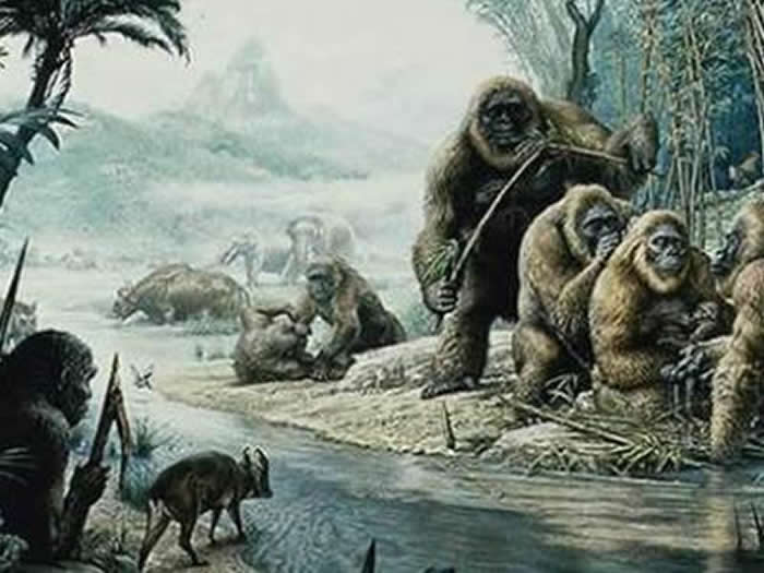 巨猿生活复原图(资料图)