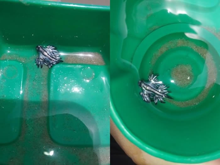 ��7����ͯ��Ϊ���������� ����������������������������