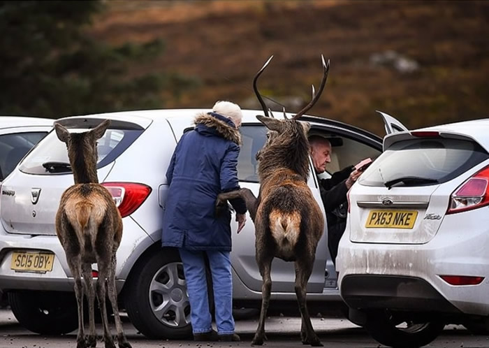 ӢոŮ;׿ʱֻŷ¹Χס