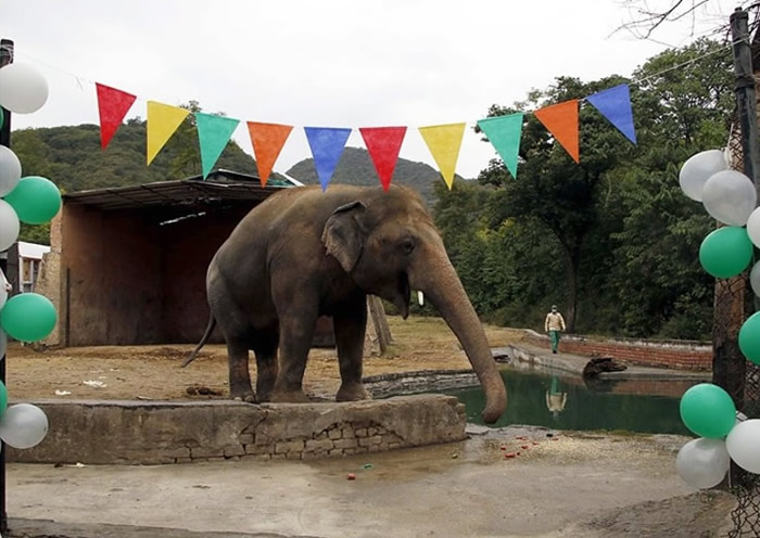 ͻ˹̹׶˹԰ȫ¶󸰼կǰɶԻ