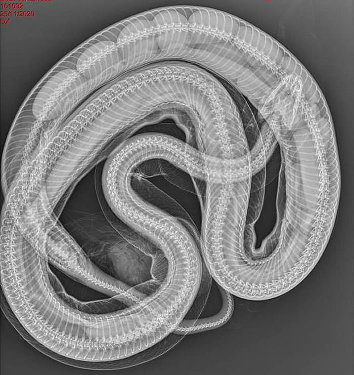 ʿʡ̺Īײ쳣¡ X⾪ڲ12ߵ